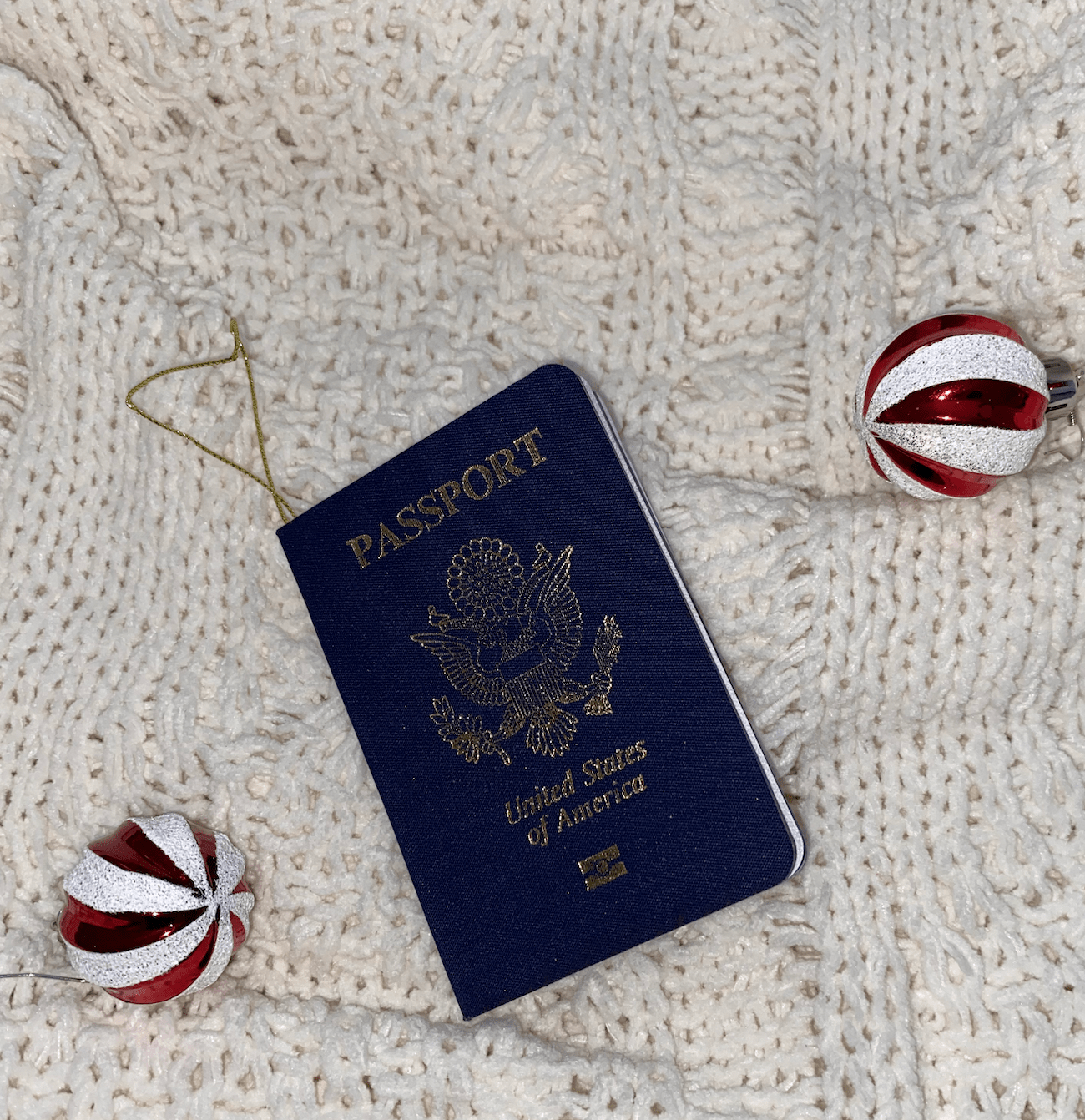 Cadeau : Livre jeunesse - Viens fêter Noël à New York City & Passeport du Père Noël et carte de NYC